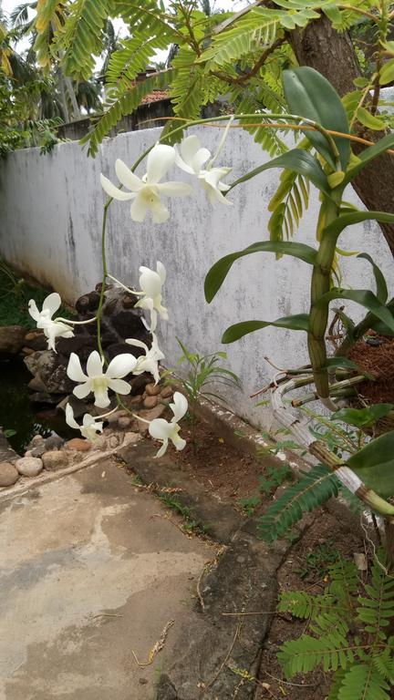 Leisure In كالي المظهر الخارجي الصورة