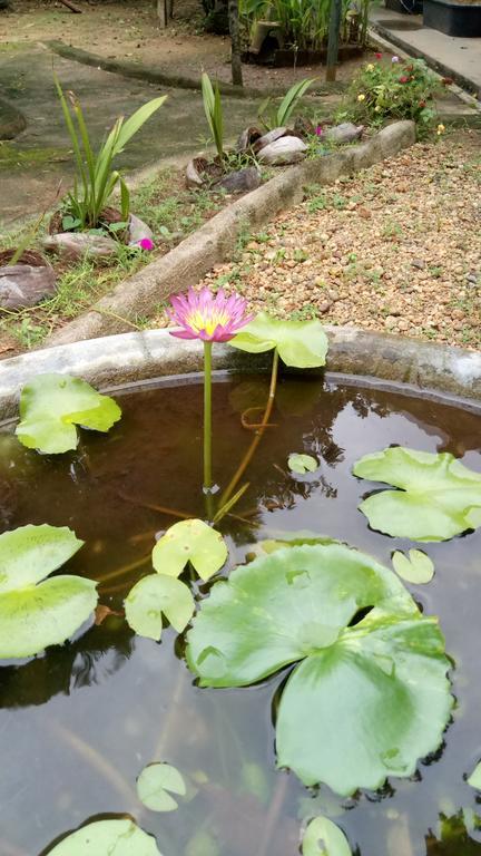 Leisure In كالي المظهر الخارجي الصورة
